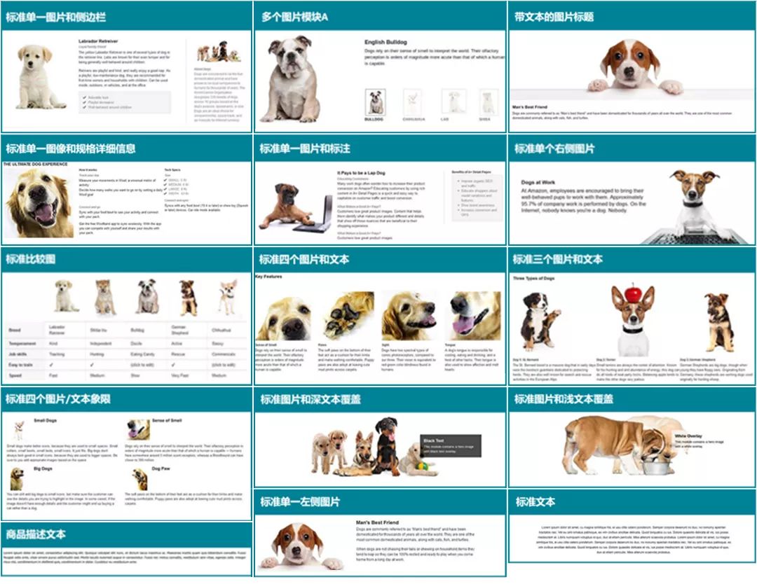 品牌营销 |亚马逊A+页面！助转化率、售出率Up Up Up！