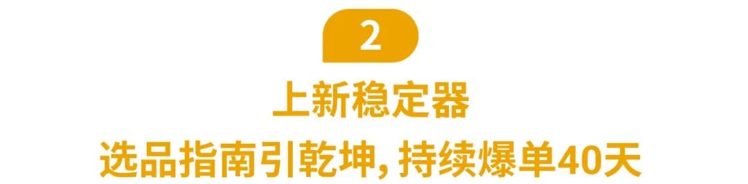 Shopee 2020成绩出炉, 全年订单飙涨132.8%! 抢斋月资源占2021爆单先机