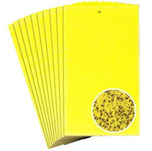 欧洲花园草坪用品|Hardline品类中的新蓝海