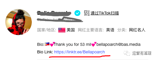 为什么独立站不如电商平台产品丰富,物流,价格也没优势，在欧美却有那么大市场？