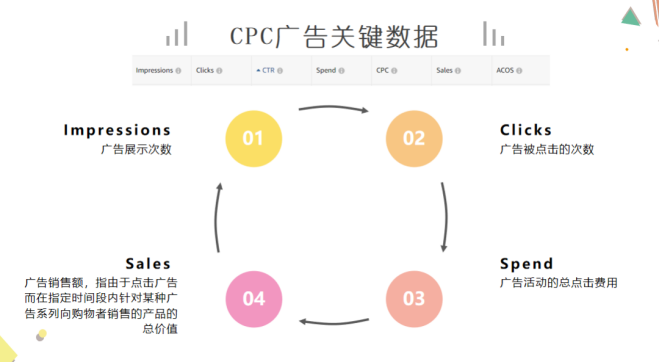 亚马逊高级运营思维（一）基础概念