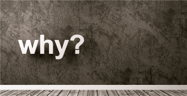 ROI高达17！深度剖析海外消费者购物图鉴后，他抓住了这个机会！