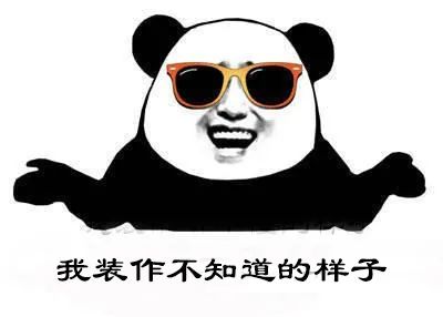 搞独立站，不会写建站代码，烦到头秃？？