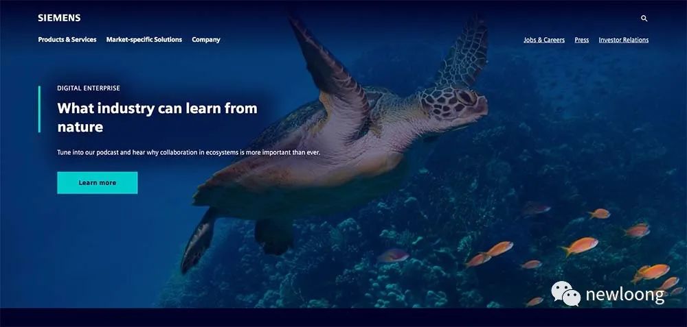 多图轮播有利于网站用户转化和SEO吗？