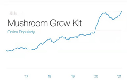 生长灯催生新蓝海，室内种植迎来异域新贵！