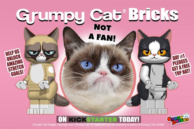 Care Bears爱心熊、Grumpy Cat不爽猫两大品牌即将冻结店铺账户，这些产品记得排查侵权风险！