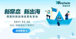 2021独立站品牌出海如何走?4步拆解引流新玩法!