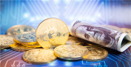 1720亿美元的市场,跨境电商卖家如何迅速选中爆款?