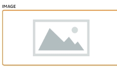 品牌旗舰店简介