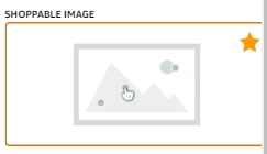 品牌旗舰店简介