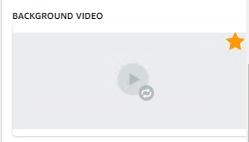 品牌旗舰店简介