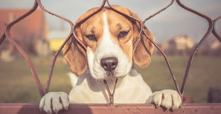 吐槽不靠谱跨境电商公司（三）