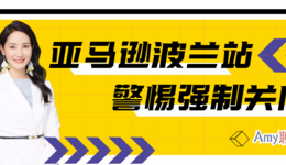 Amy聊跨境:亚马逊卖家追捧的波兰站,如何规避强制关店?