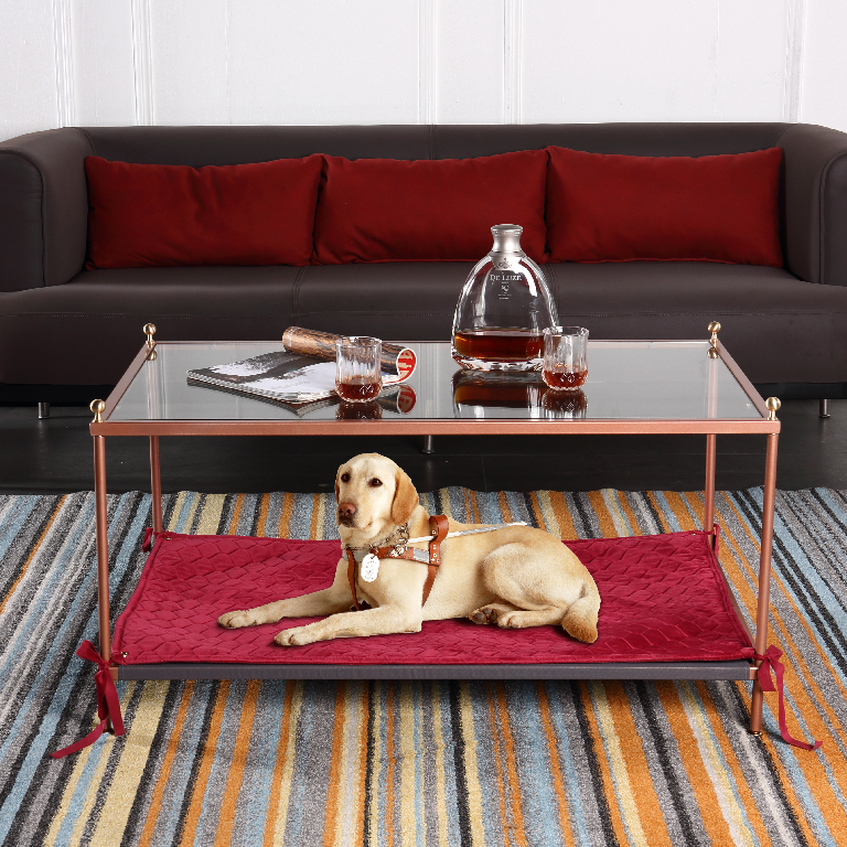 家具持续回暖，宠物经济愈发兴旺，而它…