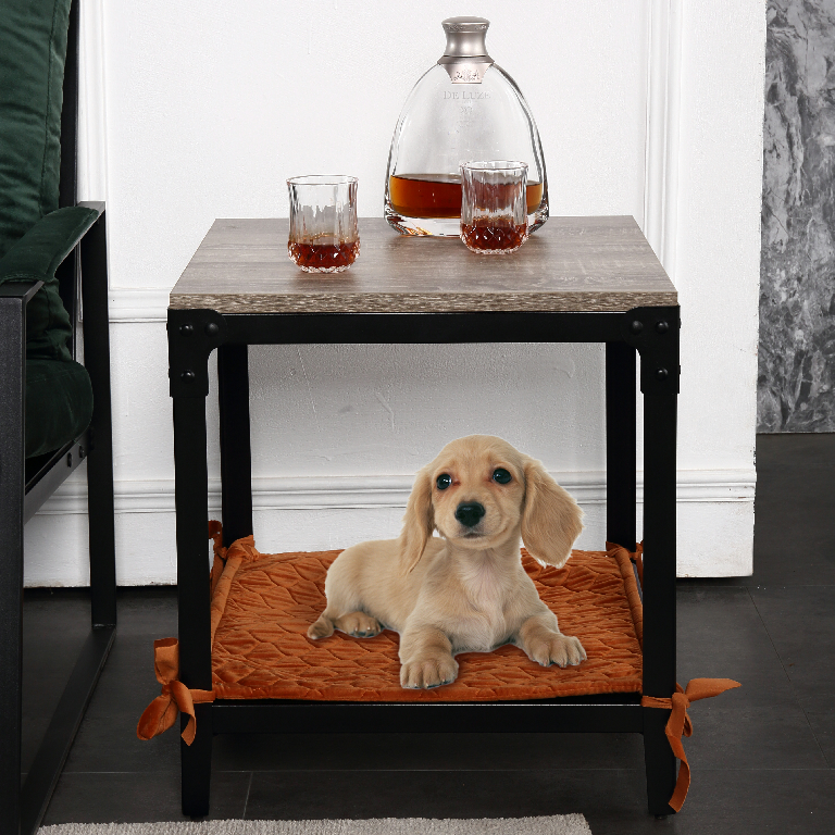 家具持续回暖，宠物经济愈发兴旺，而它…