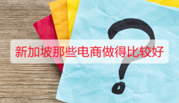 新加坡那些电商做得比较好