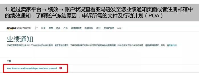 新卖家，新产品！今年亚马逊旺季我还有机会吗？