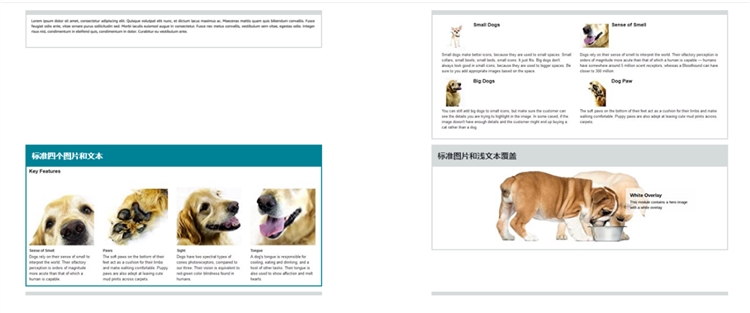 亚马逊的A+页面