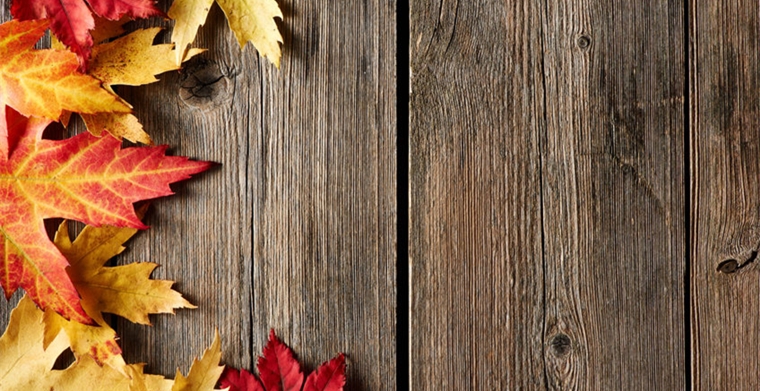 amfori BSCI新平台如何完美衔接？