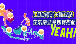 跨境卖家如何借助COD独立站挖掘东南亚的市场?(新手也适合)