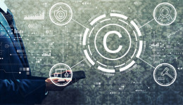 干货必看！如何用诸葛选品发现2021年独立站选品趋势