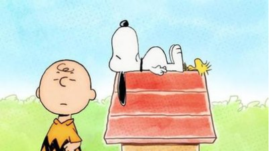 月销1.7万件！又一产品火爆亚马逊，但却藏有封店危机！