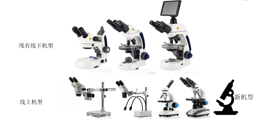 常为天下先——麦克奥迪，成就小市场中的国际大品牌 