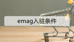 emag入驻条件