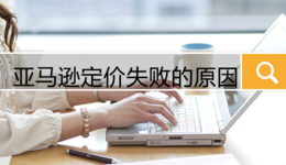 亚马逊定价失败的原因