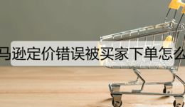 亚马逊定价错误被买家下单怎么办