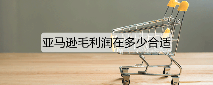 亚马逊毛利润在多少合适