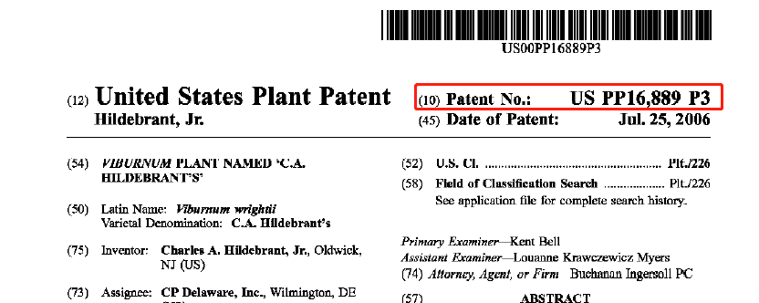 如何辨别美国专利号。