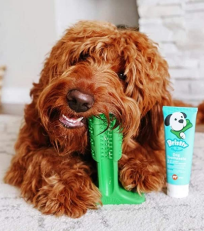 销售额破1000亿美元！亚马逊爆单机会来了，但要小心专利侵权！