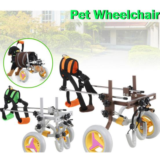 销售额破1000亿美元！亚马逊爆单机会来了，但要小心专利侵权！