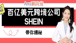 Amy聊跨境:中国最神秘的百亿美元跨境公司SHEIN,究竟是什么来头