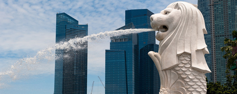 新加坡公司报税费用