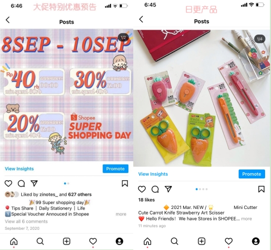 细分类目出海有诀窍! “猫掌柜”东南亚大促斩获40000单!