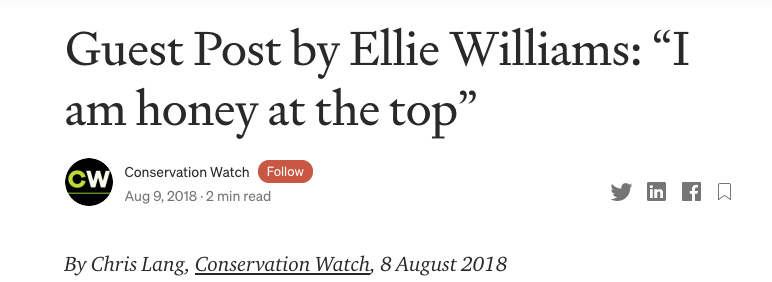 如何使用Google alert打造你专属的信息监控