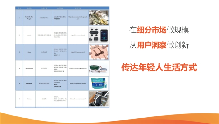 至真科技超店Shoplus赋能DTC品牌乘风出海