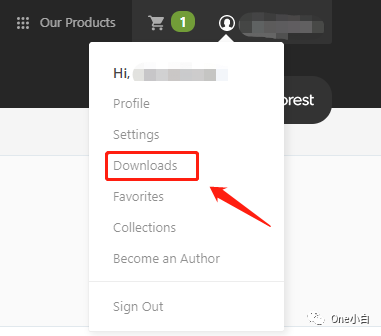 一个完整的Avada主题文件包都包含哪些内容?