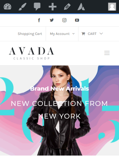 Avada主题后台操作界面及功能菜单用途概览