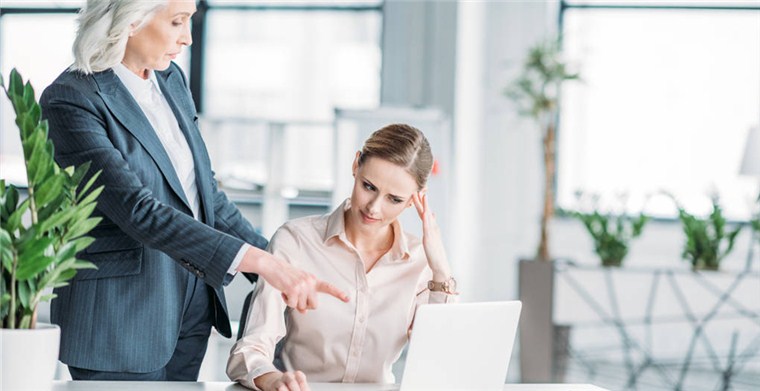 一个完整的Avada主题文件包都包含哪些内容?