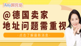 Amy聊跨境：德国卖家面临关店风险！亚马逊即将开始地址审查