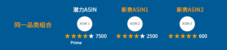 揭秘！专攻ASIN投放困境的4大秘籍，助你旺季突围！