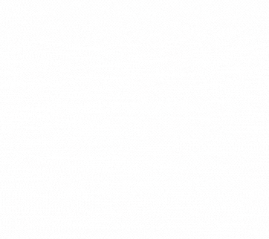 Allegro Fulfillment — 认识Allegro全新的物流服务！