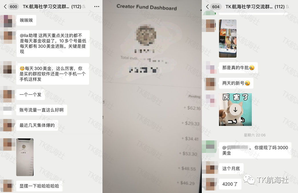 5月最新TikTok创作者基金开通/提现PayPal-WorldFirst流程