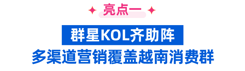越南6.6大促爆单指南+流量补贴双亮点曝光！