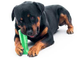 David代理新品牌，指环案件首发案！