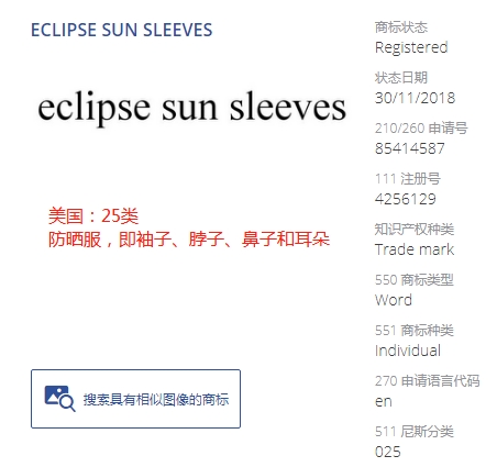 Prime Day夏日必备热销产品，常见的关键词悄悄成为商标！