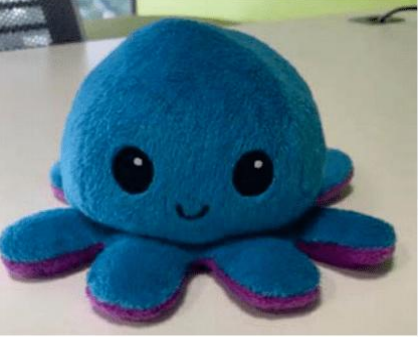 侵权规避 | 汇总亚马逊等6月侵权关键词（更新至6月4日